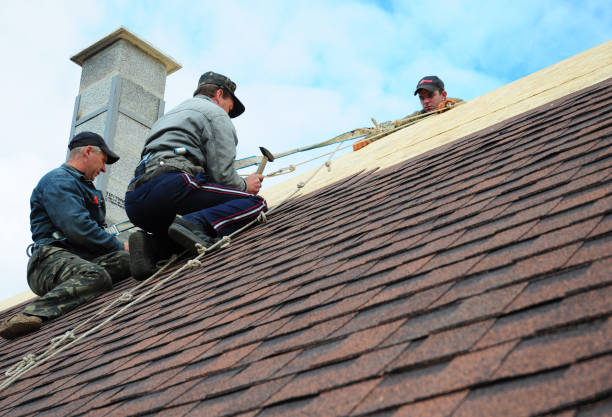 Gutter Installation and Roofing in Forest Park, IL