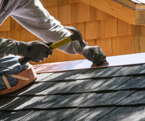 Best Roof Gutter Cleaning  in Forest Park, IL